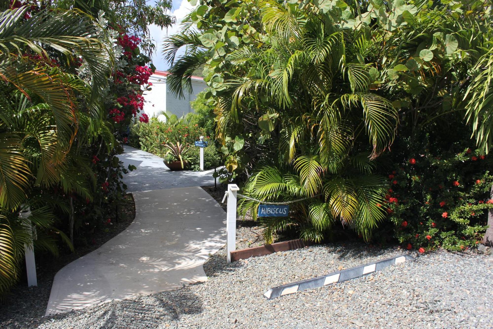 Cruz Bay Beautiful Honeymoon Suite At Sunset Serenade מראה חיצוני תמונה